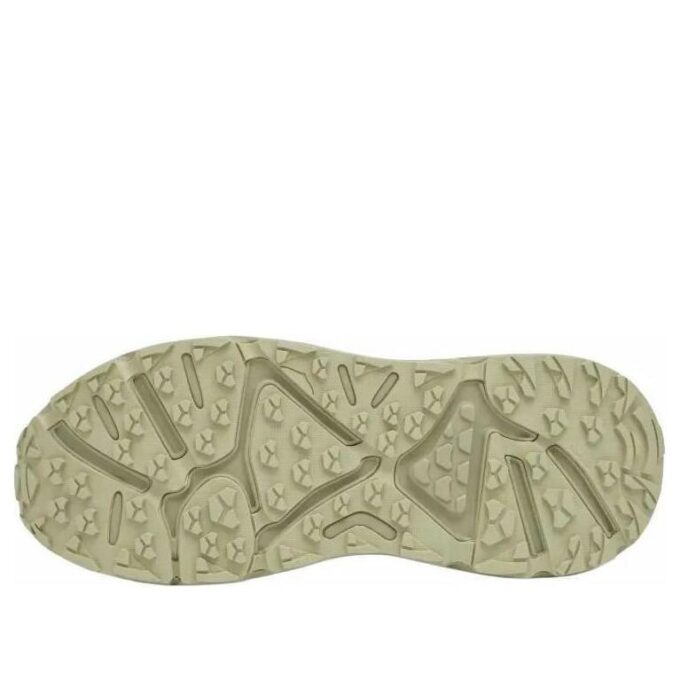 Stinson EVO OG TP «Sea Moss Luna Moth»